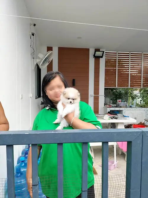 ส่งสัตว์ขนาดเล็ก