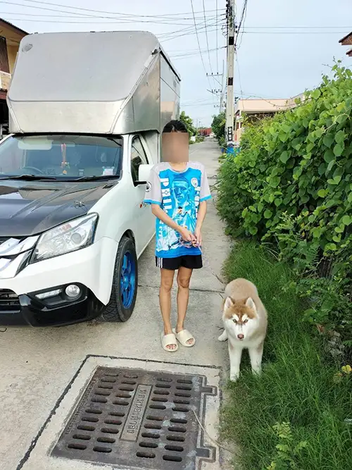 ส่งสัตว์เลี้ยง